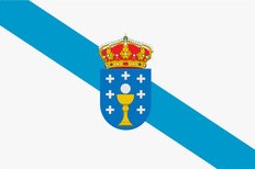 Galician (native)